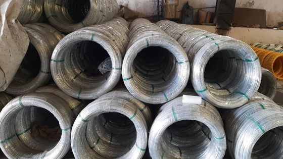 Não ligado SAE1006 fio laminado a quente Z35 galvanizado aço fio de vara em bobinas para fabricação de pregos Tolerância ± 1% ± 1% Tolerância