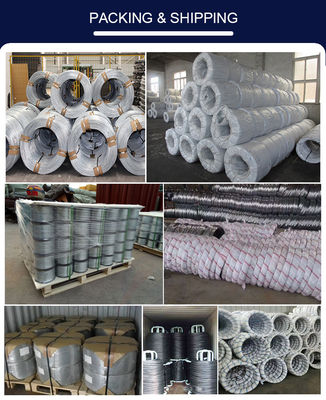 0.2mm 0.3mm Z275 Aço de Carbono Alto Arame Galvanizado a Quente com Serviço de Corte e Amostra Disponível
